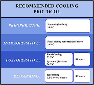 Consensus recommendations on therapeutic hypothermia after minimally invasive intracerebral hemorrhage evacuation from the hypothermia for intracerebral hemorrhage (HICH) working group